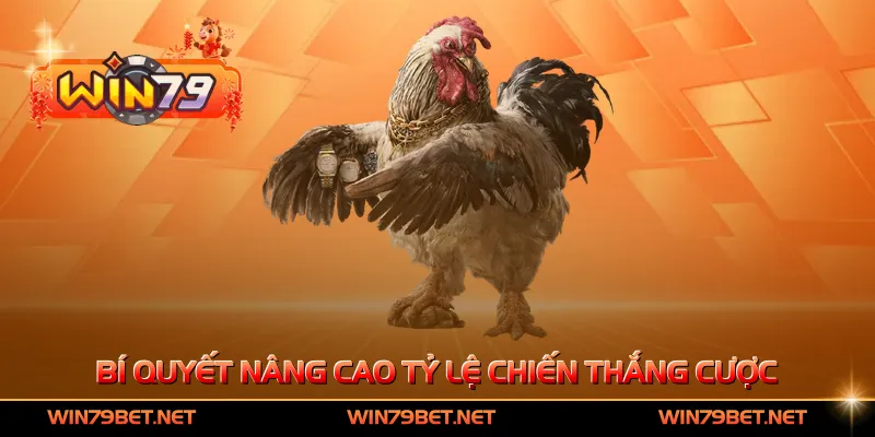 Bí quyết nâng cao tỷ lệ chiến thắng cược
