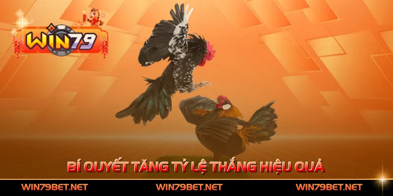 Bí quyết tăng tỷ lệ thắng hiệu quả