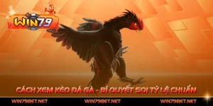 Cách Xem Kèo Đá Gà - Bí Quyết Soi Tỷ Lệ Chuẩn Xác