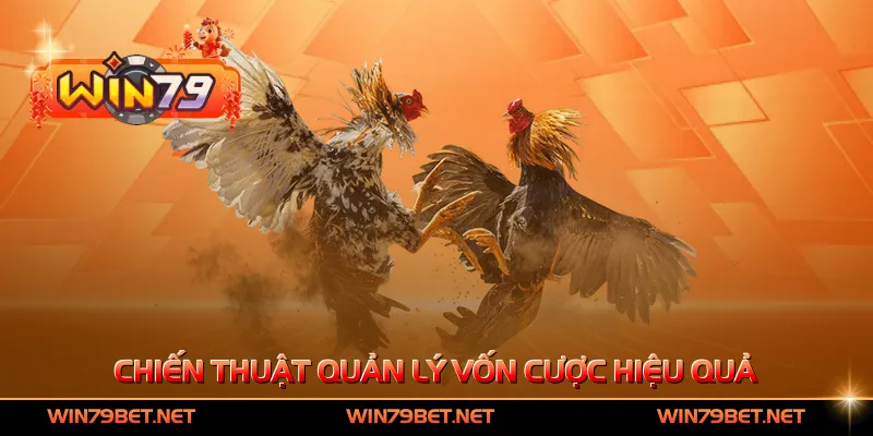 Chiến thuật quản lý vốn cược hiệu quả