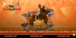 Đá Gà Cựa Dao Thái - Trận Chiến Kịch Tính, Thắng Thưởng Lớn
