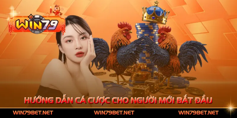 Hướng dẫn cá cược cho người mới bắt đầu