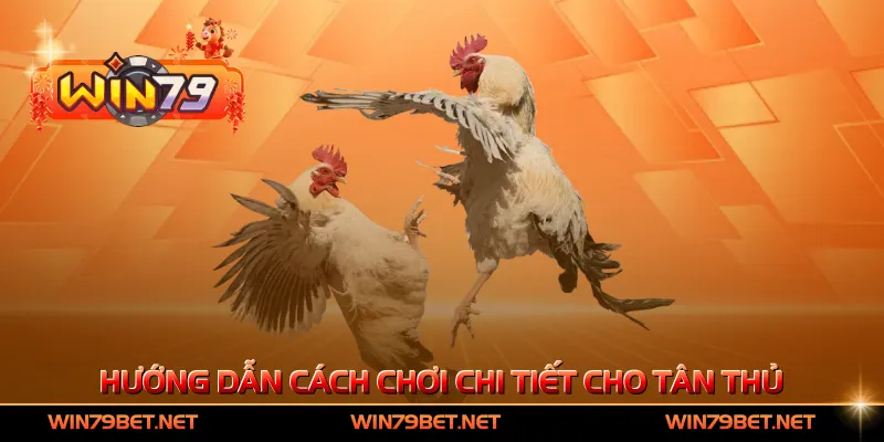 Hướng dẫn cách chơi chi tiết cho tân thủ