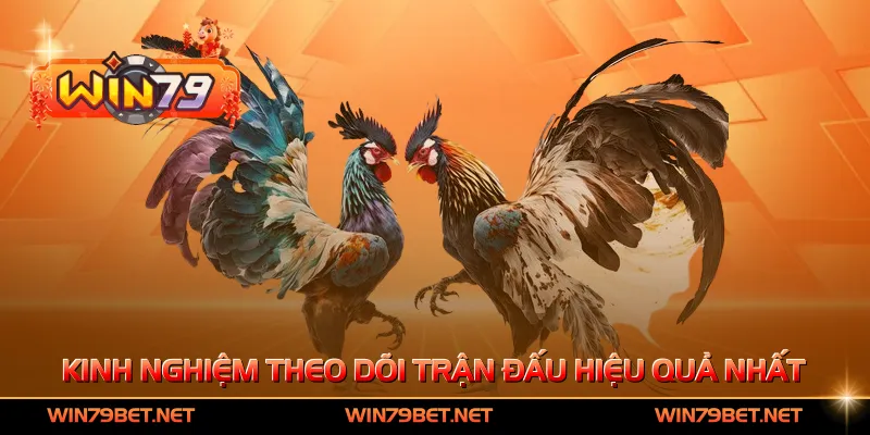 Kinh nghiệm theo dõi trận đấu hiệu quả nhất