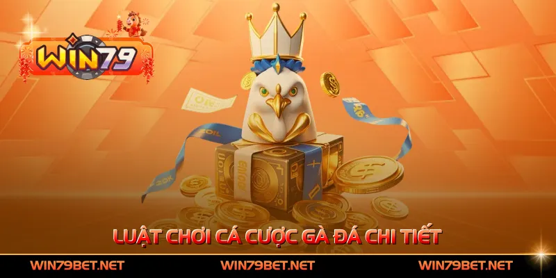Luật chơi cá cược gà đá chi tiết