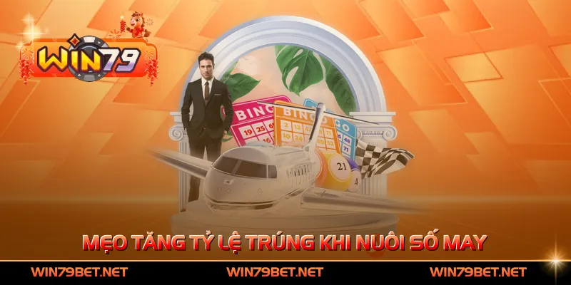 Mẹo tăng tỷ lệ trúng khi nuôi số may