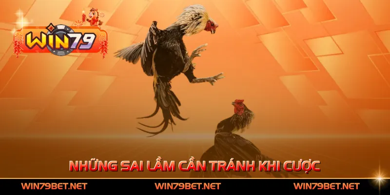 Những sai lầm cần tránh khi cược
