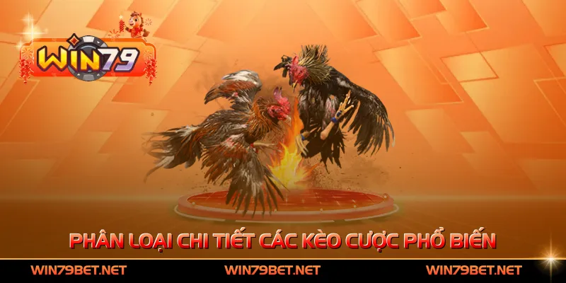 Phân loại chi tiết các kèo cược phổ biến