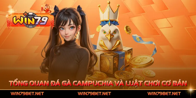 Tổng quan đá gà Campuchia và luật chơi cơ bản