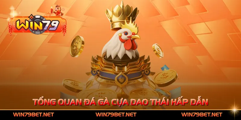 Tổng quan đá gà cựa dao Thái hấp dẫn