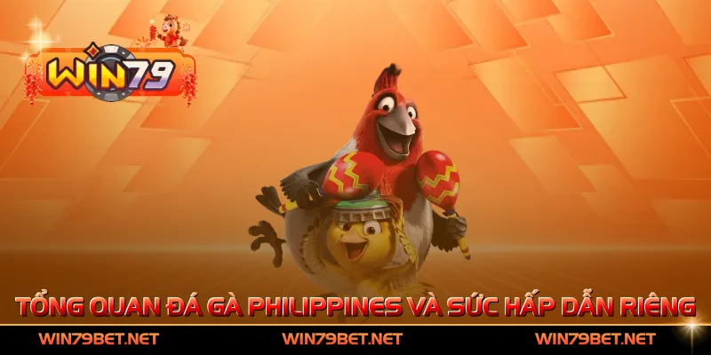 Tổng quan đá gà Philippines và sức hấp dẫn riêng