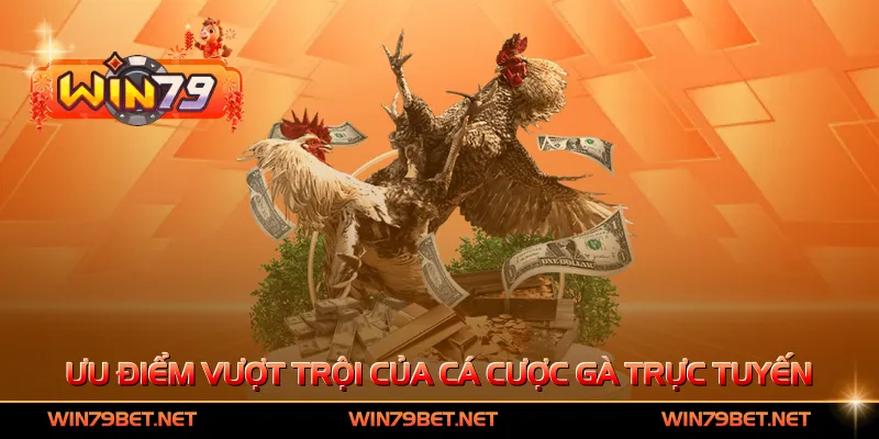 Ưu điểm vượt trội của cá cược gà trực tuyến
